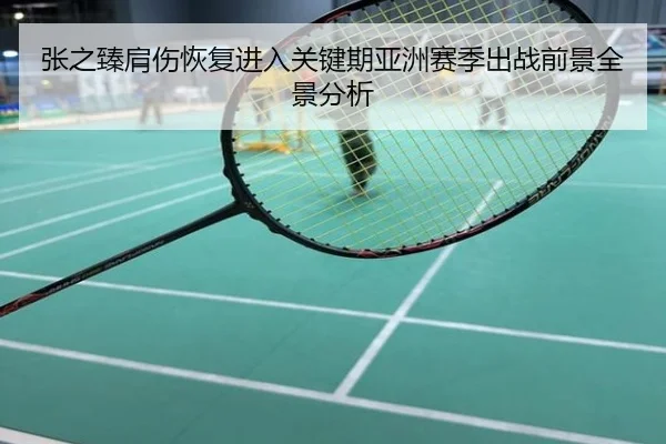 张之臻肩伤恢复进入关键期亚洲赛季出战前景全景分析