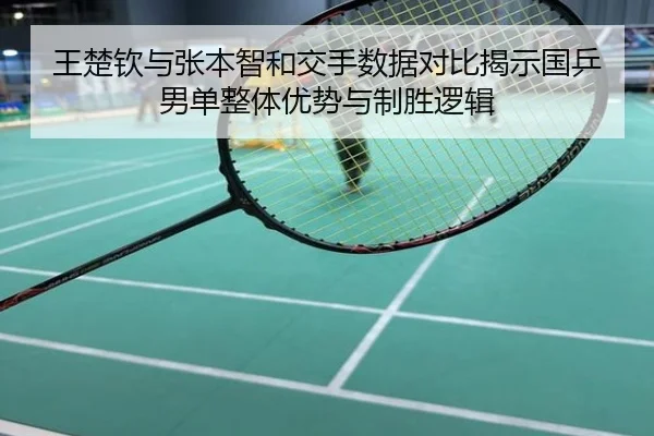 王楚钦与张本智和交手数据对比揭示国乒男单整体优势与制胜逻辑