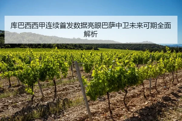 库巴西西甲连续首发数据亮眼巴萨中卫未来可期全面解析